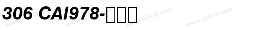 306 CAI978字体转换
